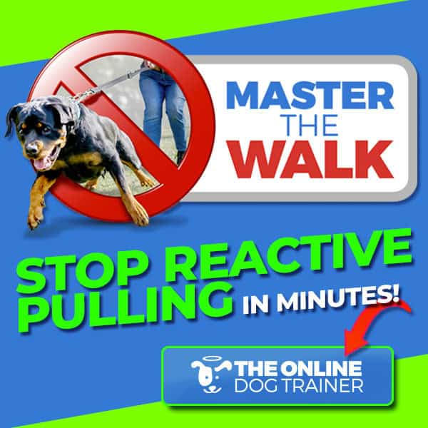 TODT-Affiliate-Template-FRONT-PRODUCTS-600x600-MTW Online Dog Trainer walking and loose-leash training