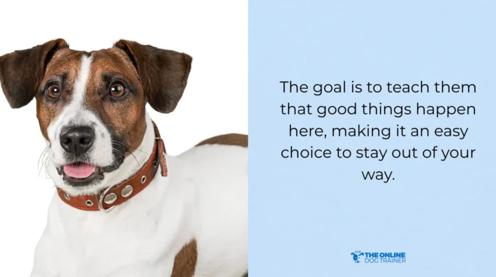 how to keep dogs out of the kitchen