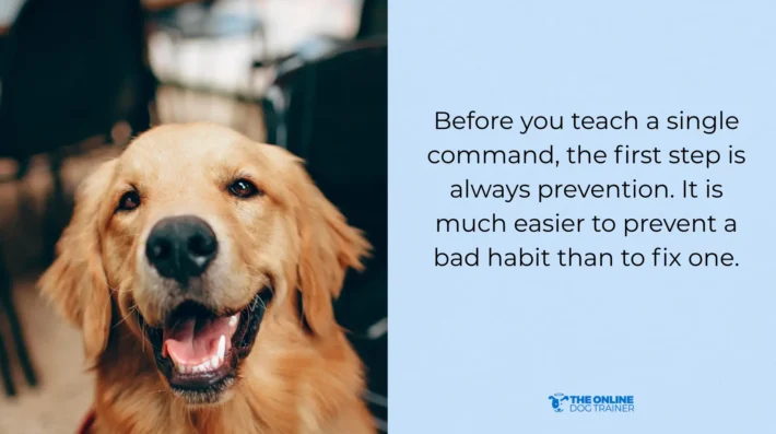 how to keep dog out of the kitchen