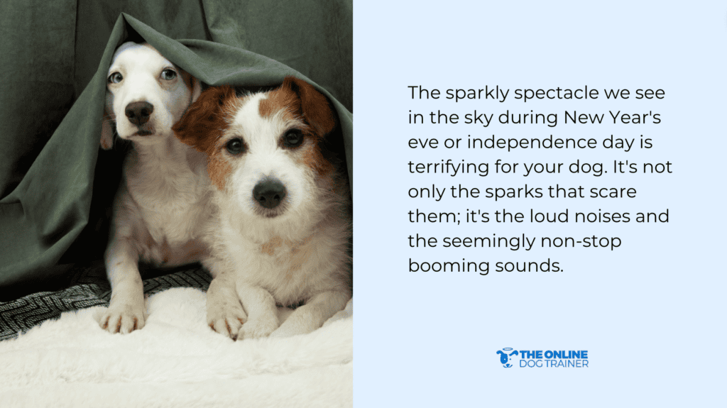 how to help a dog scared of fireworks