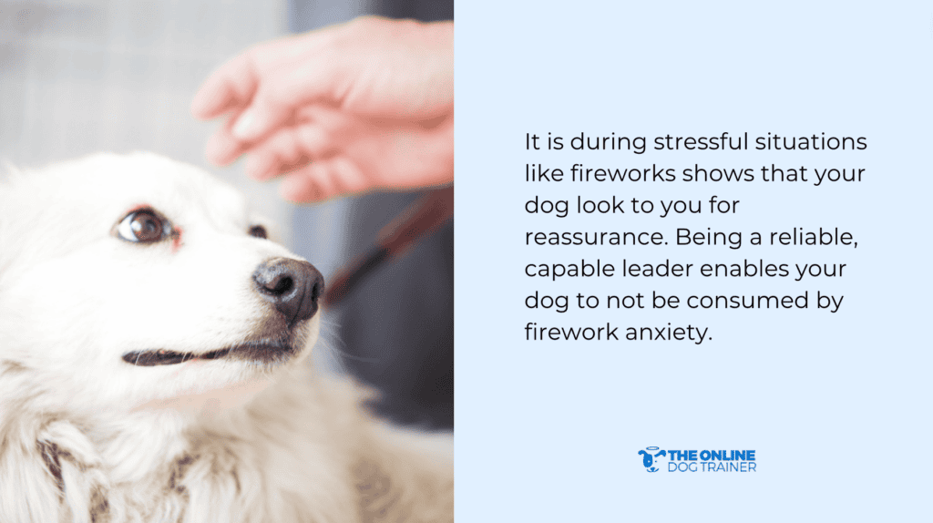 firework anxiety in dogs