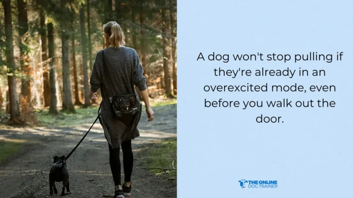 dog pulls hard during walk