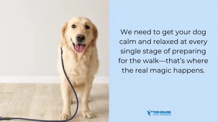 how to teach dog how to walk