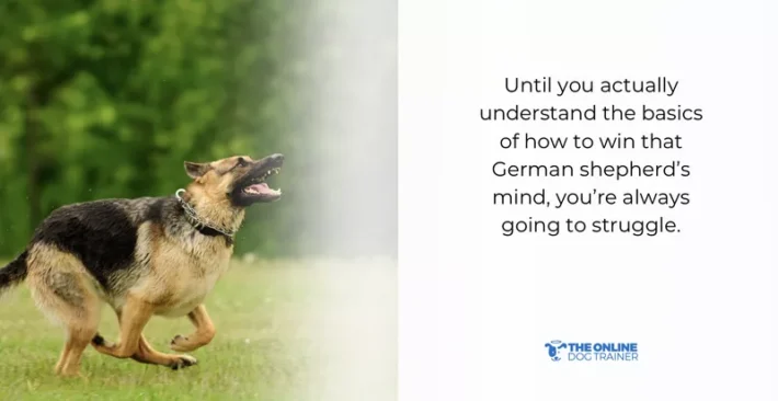 german shepherd personality traits