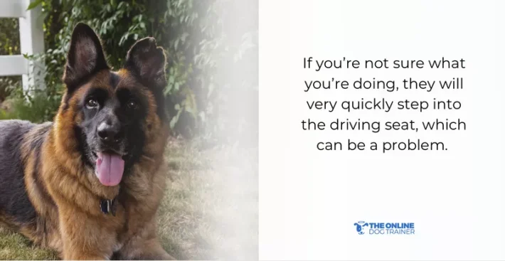 how to train a german shepherd