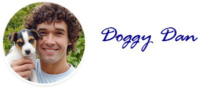 The Dog Calming Code™ by Doggy Dan (MatF) - The Online Dog Trainer