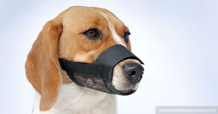 different types of dog muzzles