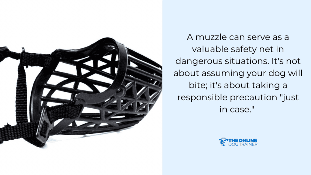 Best Muzzles for Reactive Dogs: Doggy Dan’s Guide to Safe Muzzle Use ...