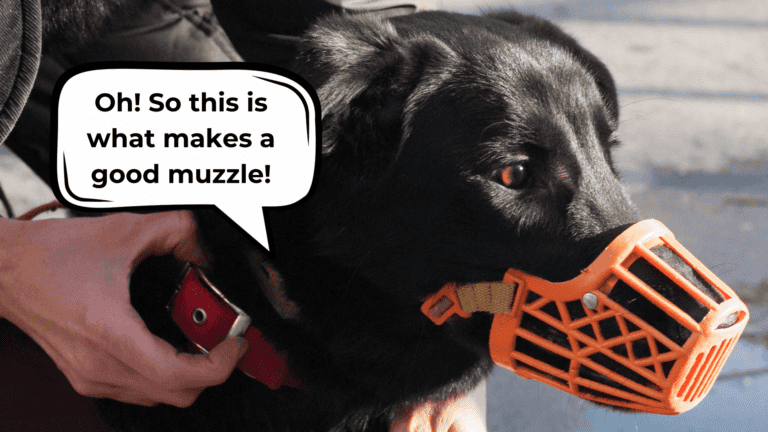 best muzzles for reactive dogs
