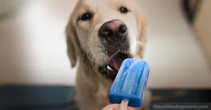 puppy ice pops