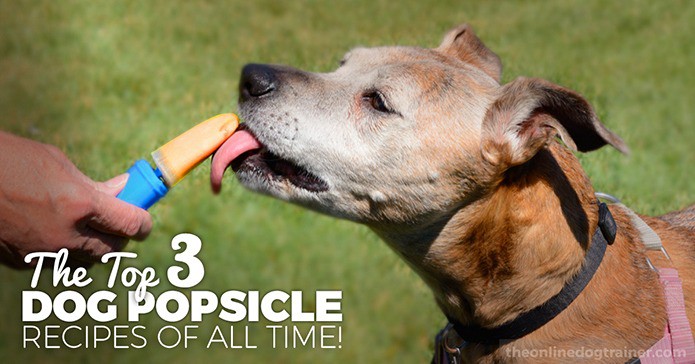 dog safe popsicles
