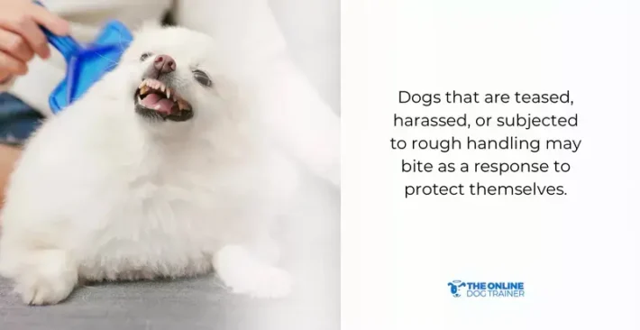 dog feel threatened to bite