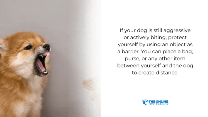 physical barrier to prevent dog bites