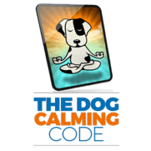 The Missing Link: Why You’re Struggling to Train Your Pup and How a ...