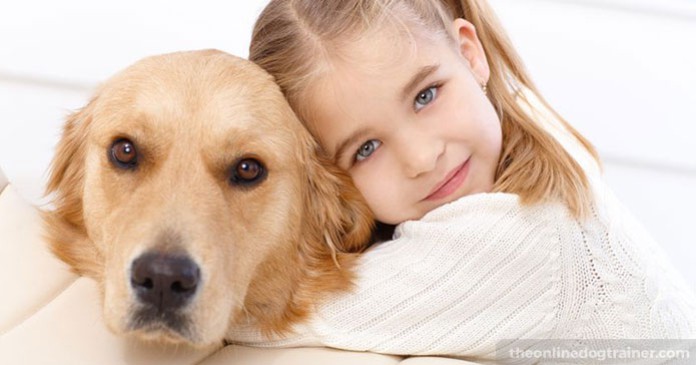 The Dog Calming Code: My #1 Secret to Successfully Training Over 77,000 ...