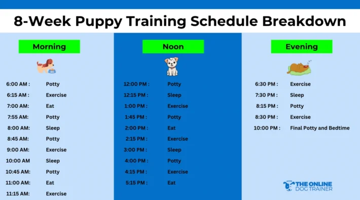 puppy training schedule