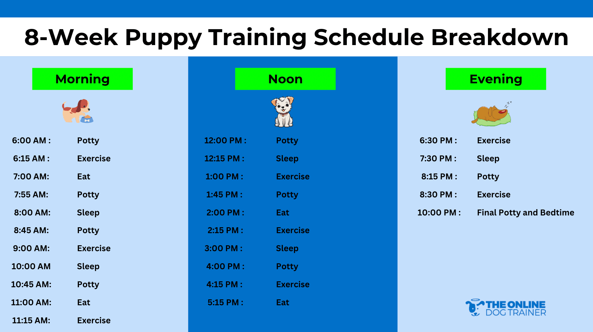 puppy's daily training schedule