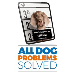 The Dog Calming Code™ by Doggy Dan (MatF) - The Online Dog Trainer