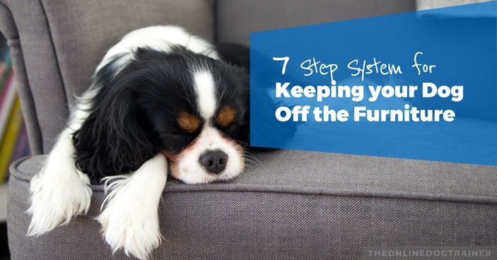 7-Step-System-for-Keeping-Your-Dog-Off-the-Furniture-HEADLINE-IMAGE