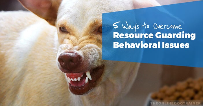Rescue-Dog-Series-Part-1-5-Way-to-Help-Your-Dog-Overcome-Resource-Guarding-Behavioral-Issues-HEADLINE-IMAGE