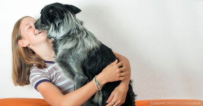 Jumping-Dogs-How-to-Keep-Your-Pup-from-Jumping-on-House-Guests-FEATURED-IMAGE