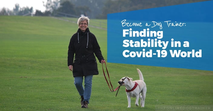 How-To-Become-a-Dog-Trainer-Finding-Stability-in-a-COVID-19-World-HEADLINE-IMAGE