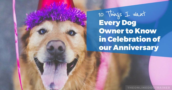 10-Things-I-Want-Every-Dog-Owner-to-Know-in-Celebration-of-our-Anniversary-HEADLINE-IMAGE