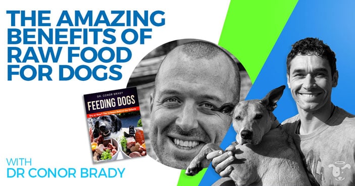 Doggy-Dan-Podcast-Show-NewDesign-FEATURED-Raw-Food-for-Dogs-DrBrady