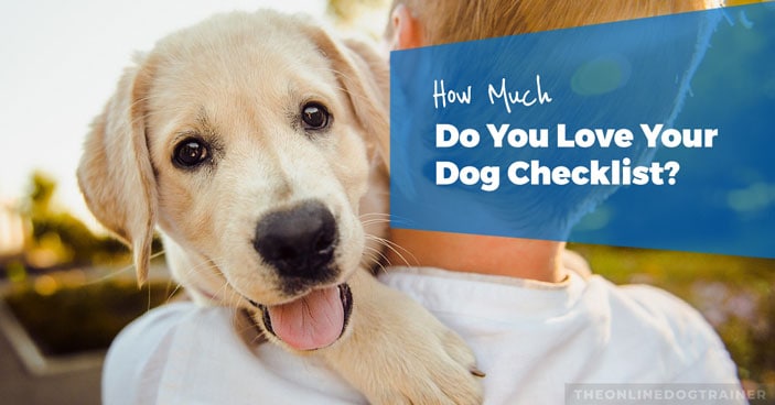 How-Much-Do-You-Love-Your-Dog-Checklist-HEADLINE-IMAGE