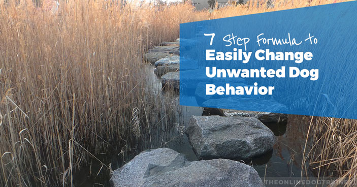 7-Step-Formula-to-Easily-Change-Unwanted-Dog-Behavior-HEADLINE