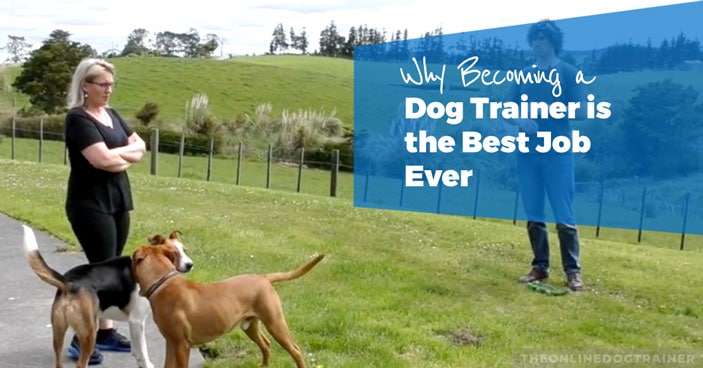 9-Reasons-Becoming-a-Dog-Trainer-is-the-Best-Job-Ever-HEADLINE