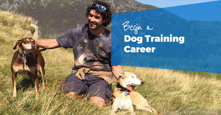 Begin-a-Dog-Training-Career-What-it-Takes-to-Become-a-Great-Dog-Trainer-HEADLINE
