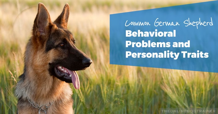 Common-German-Shepherd-Behavioral-Problems-and-Personality-Traits-HEADLINE