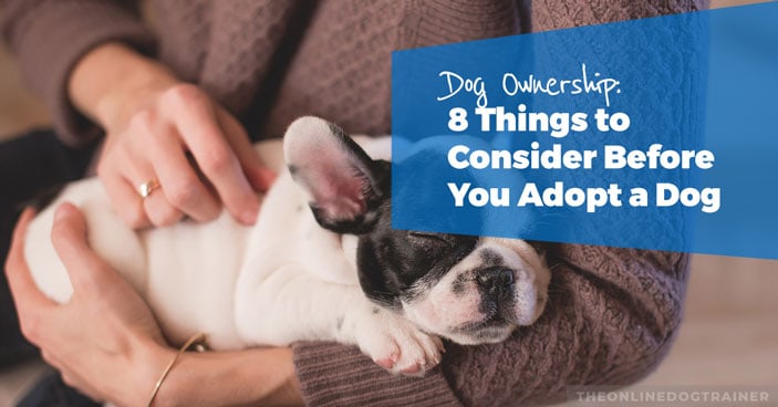 Dog-Ownership-8-Things-to-Consider-Before-You-Adopt-a-Dog-HEADLINE