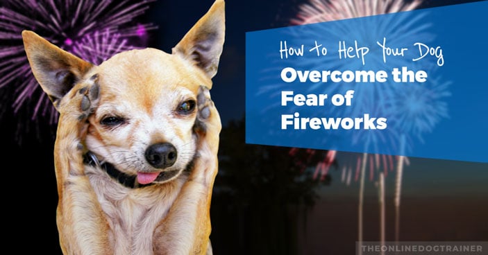 Dog-Training-Tips-How-to-Help-Your-Dog-Over-the-Fear-of-Fireworks-HEADLINE