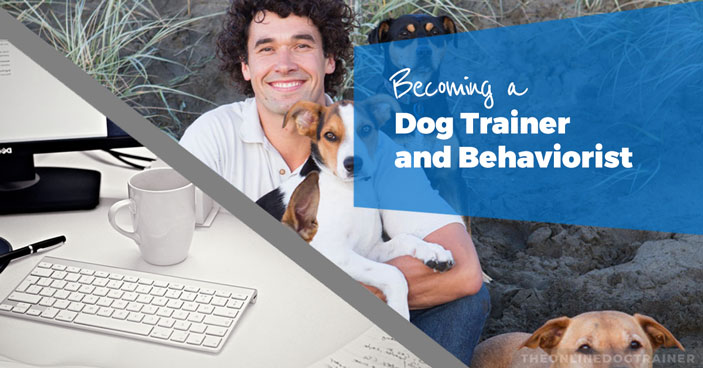 Doggy-Dan-Become-A-Dog-Trainer-HEADLINE