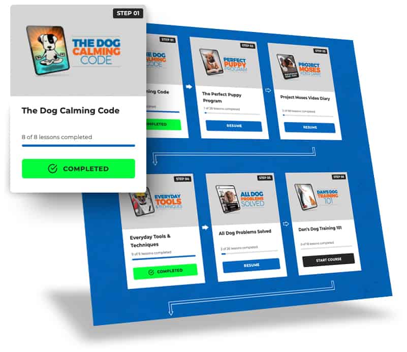Doggy-Dan-Releases-New-State-of-the-Art-Membership-Website-BLOG-IMAGES-1
