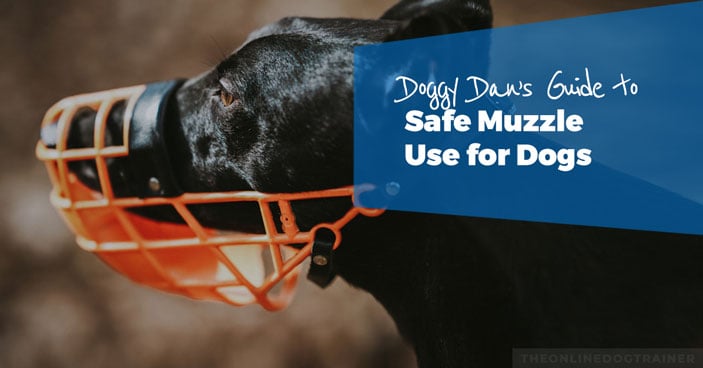 dog muzzle training tips
