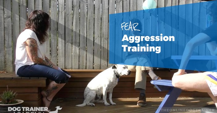 Fear-Aggression-Training-The-Amazing-Ability-for-Dogs-to-Change-HEADLINE