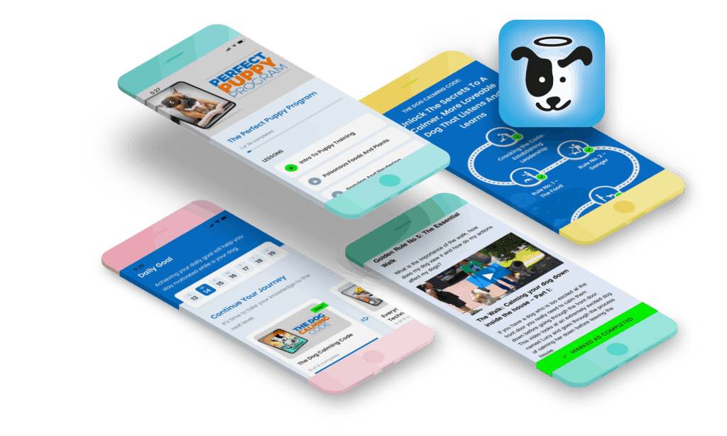 New Mobile App The Online Dog Trainer v2.0 from Doggy Dan The
