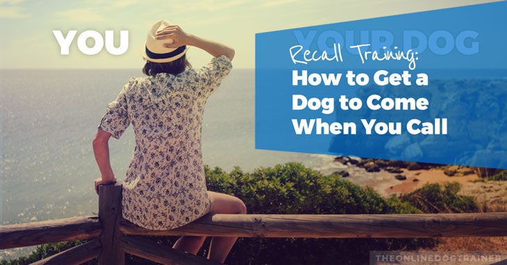 Recall-Training-How-to-Get-a-Dog-to-Come-When-You-Call-HEADLINE