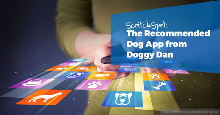 ScritchSpot-The-Must-Have-App-Doggy-Dan-Recommends-for-All-Dog-Owners-HEADLINE-IMAGE