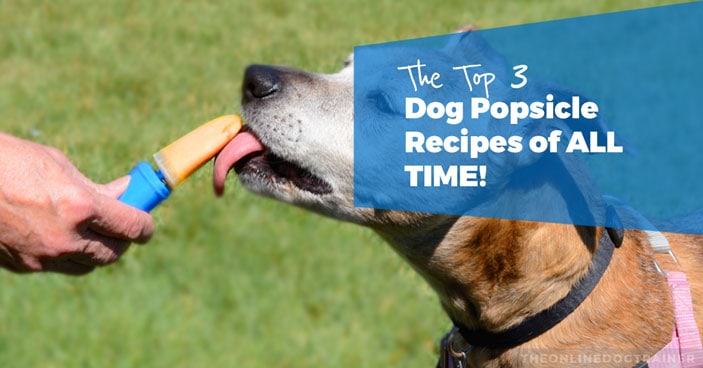 The-TOP-3-Dog-Popsicle-Recipes-of-ALL-TIME-HEADLINE-IMAGE
