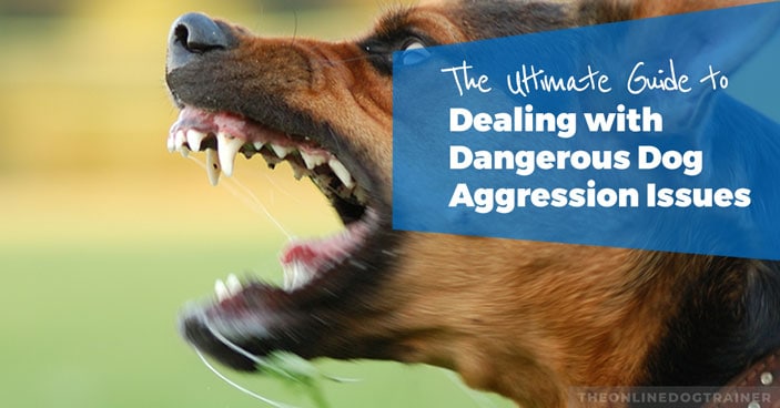 The-Ultimate-Guide-to-Dealing-with-Dangerous-Dog-Aggression-Issues-HEADLINE