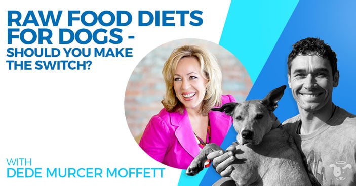 Doggy-Dan-Podcast-Show-HEADLINE-Raw-Food-Diets-for-Dogs-Should-You-Make-the-Switch-Moffett