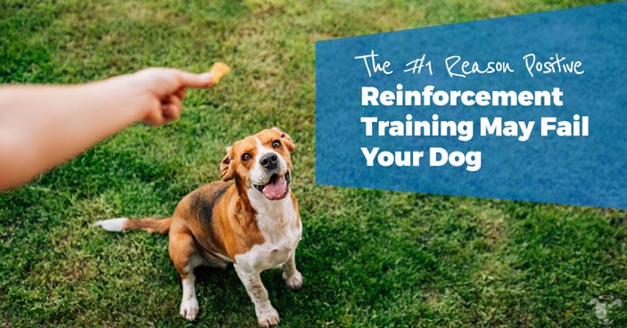 Positive-Reinforcement-Training-May-Fail-Your-Dog-HEADLINE-IMAGE
