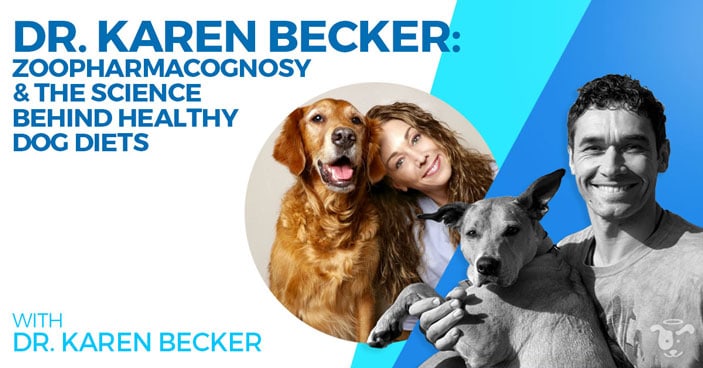Doggy-Dan-Podcast-Show-HEADLINE-Zoopharmacognosy-&-The-Science-Behind-Healthy-Dog-Diets