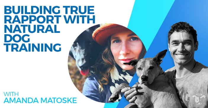 Podcast-Amanda-Matoske-Building-True-Rapport-With-Natural-Dog-Training-HEADLINE-IMAGE