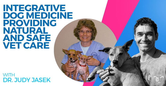 Podcast-Dr-Judy-Jasek-Integrative-Dog-Medicine-Providing-Natural-And-Safe-Vet-Care-HEADLINE-IMAGE