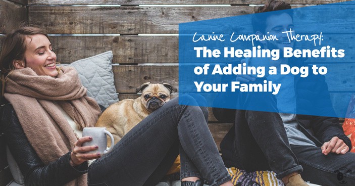 Canine-Companion-Therapy-and-Seasonal-Depression-The-Healing-Benefits-of-Adding-a-Dog-to-Your-Family-HEADLINE-IMAGE